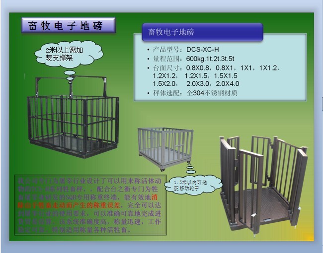 內蒙古稱活畜秤,不帶圍欄畜牧秤,稱羊/牛電子磅
